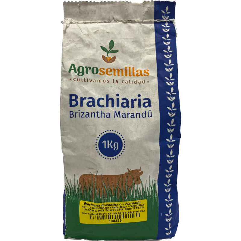 Semilla De Pasto Brizantha Marandu X 1 Kg