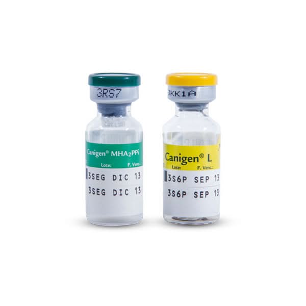 Vacuna Canigen Sextuple (Anual)  Mh2Ppilr X 1 Dosis Para Perros