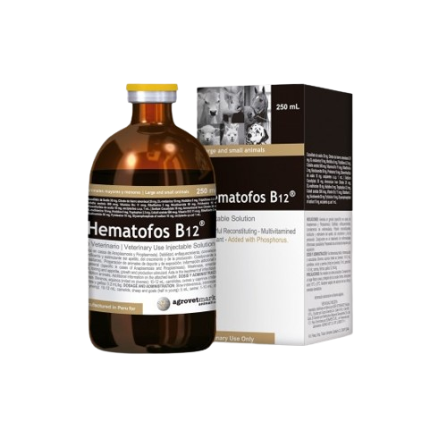 Hematofos B12 X 250 Ml