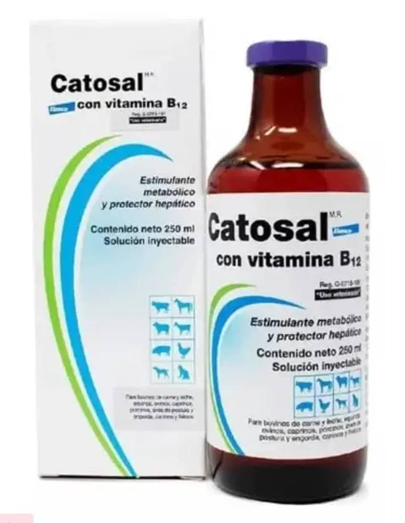 Catosal B12 250Ml
