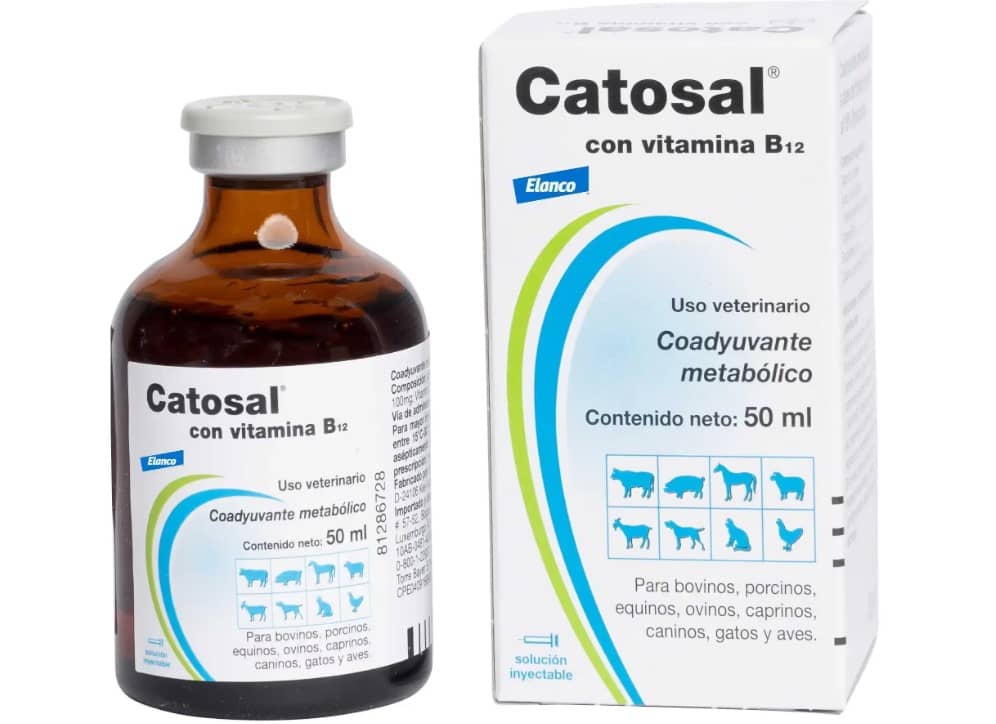 Catosal B12 50 Cc